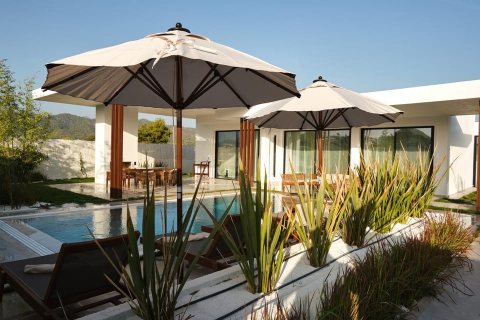 Property building, Patio, Day, Garden, Garden view, Pool view, Swimming pool, sunbed