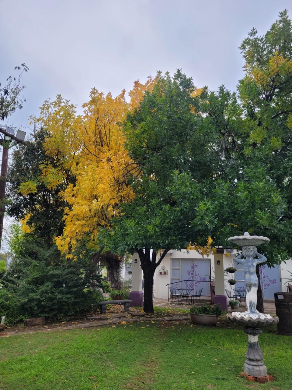 Garden