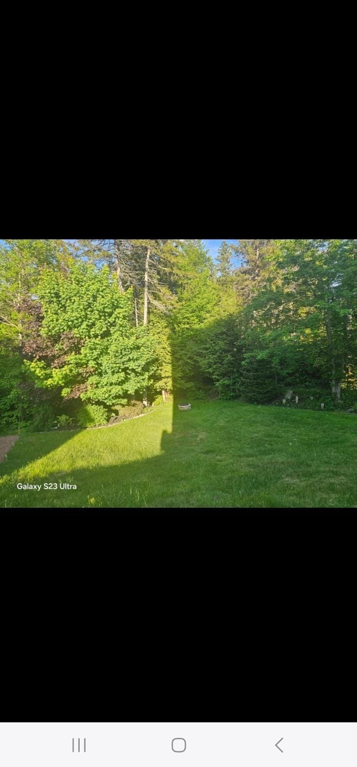 Cozy, Private Basement Suite Apartment in Dartmouth