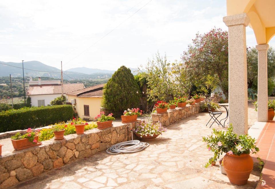 Patio, Garden, Garden view, Quiet street view