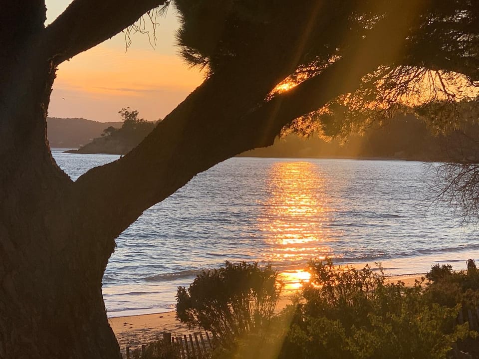 Day, Natural landscape, Beach, Sunset