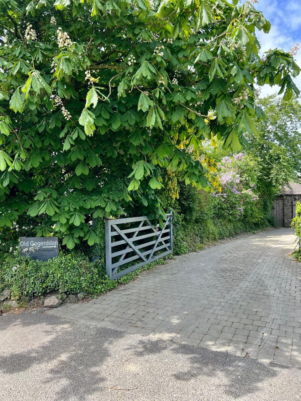 Stable Cottage Apartment in Penbryn