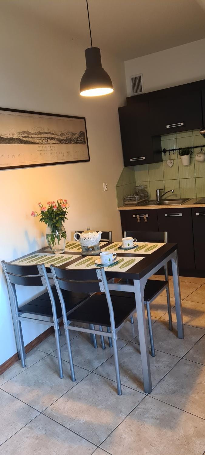 Morskie Oko & Spa Apartment in Zakopane