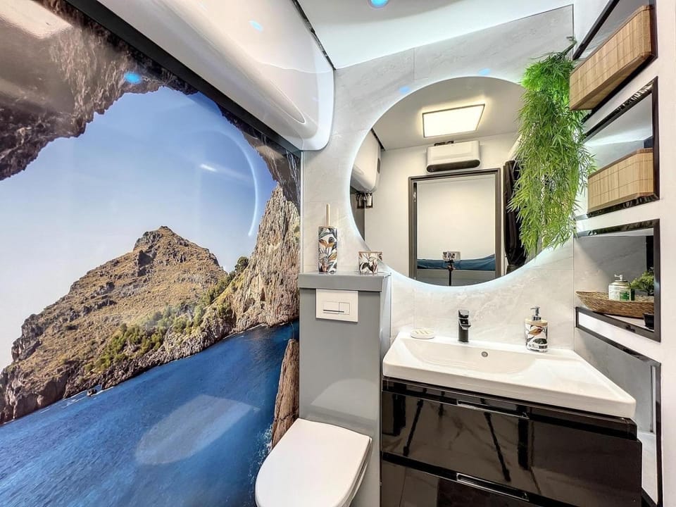 Toilet, Natural landscape, Bathroom