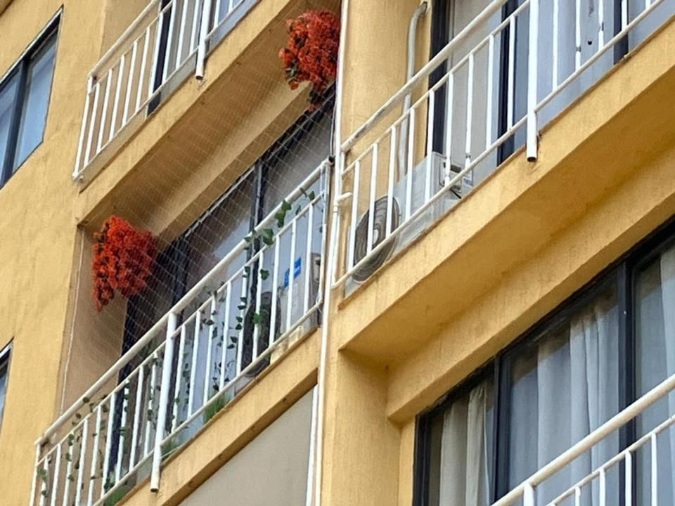 Property building, Balcony/Terrace