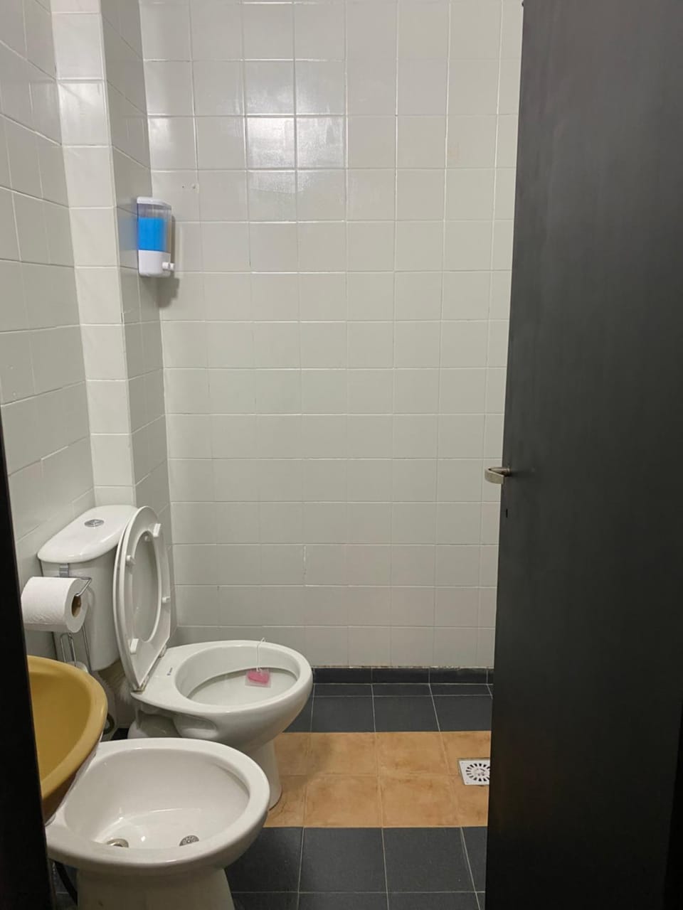Toilet, Bathroom, bidet