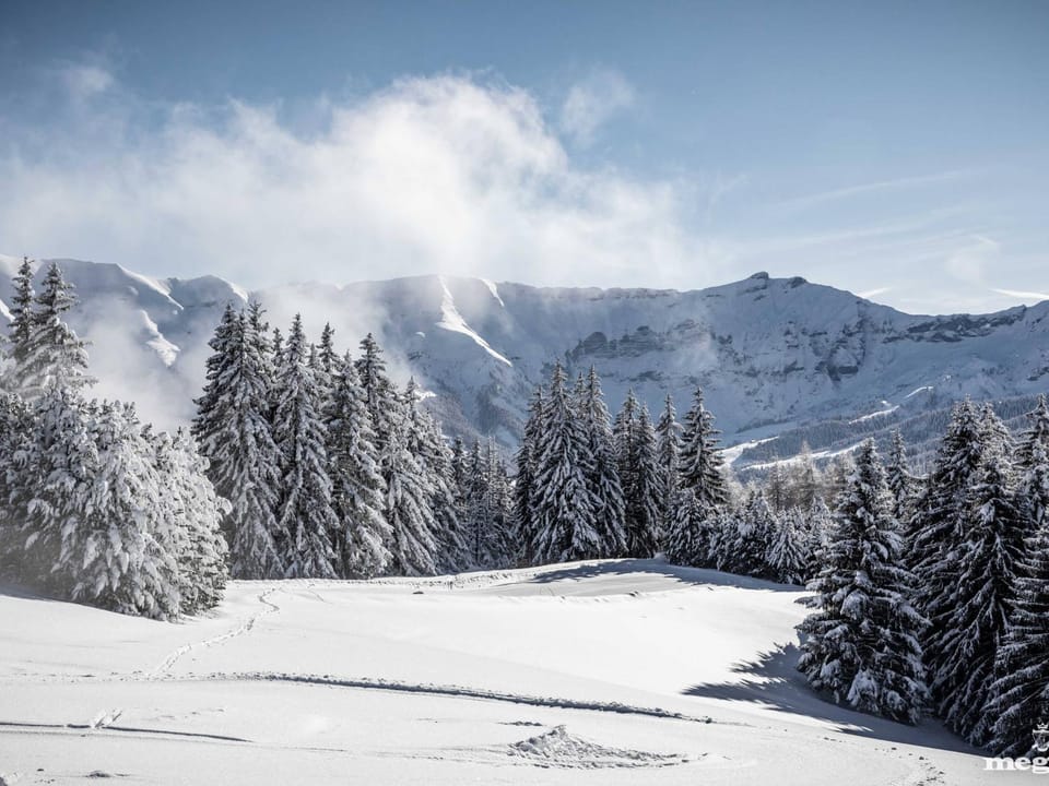 Appartement chic alpin de 100m² avec balcon et garage, proche centre Megève - FR-1-569-100 Apartment in Megève