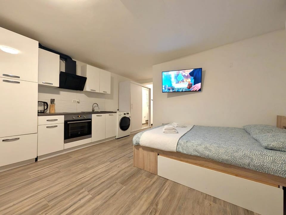 Bed, TV and multimedia, Kitchen or kitchenette, Photo of the whole room, Bedroom, minibar, oven, pet friendly, stove