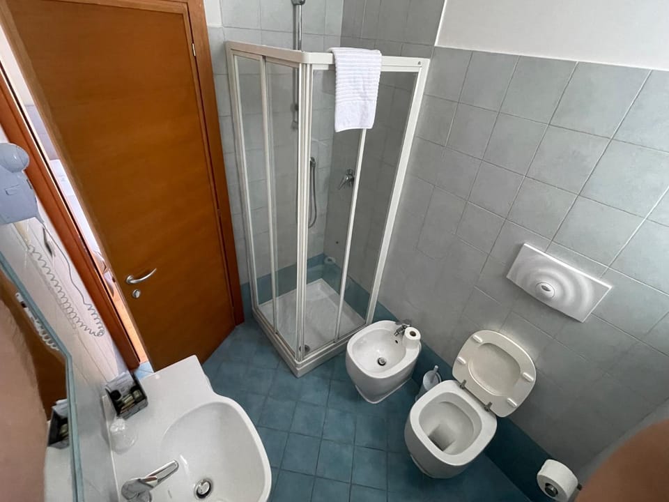 Shower, Toilet, Bathroom, bidet, towels