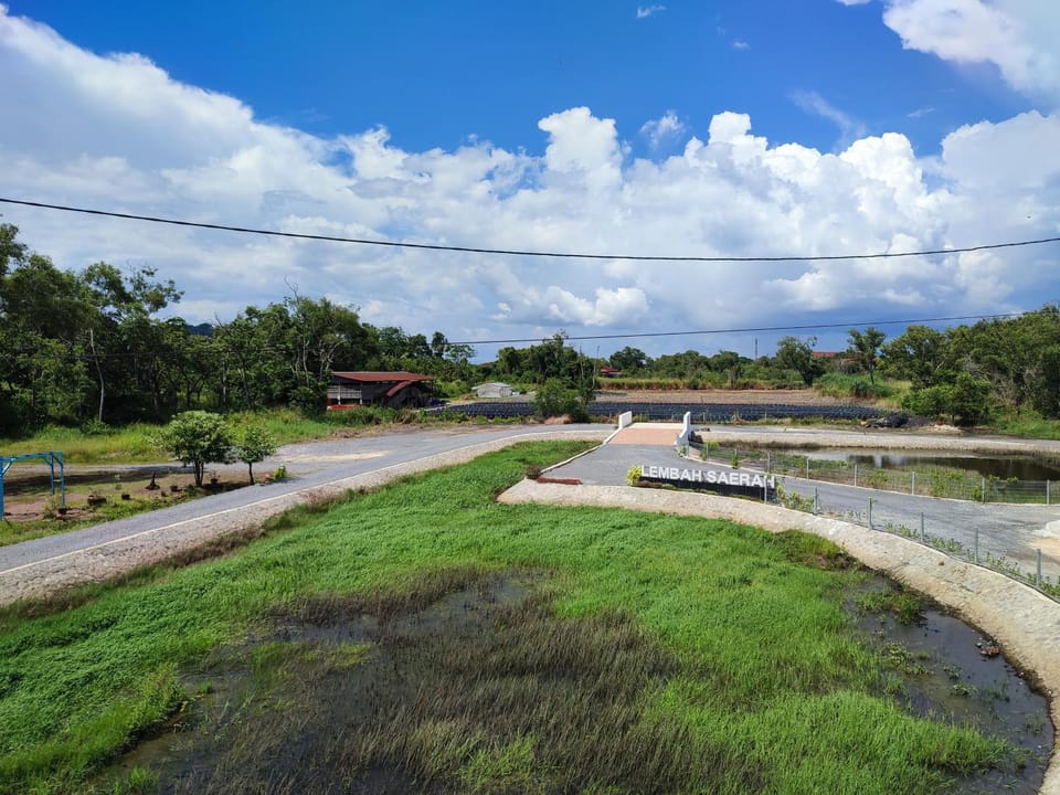 Lake view