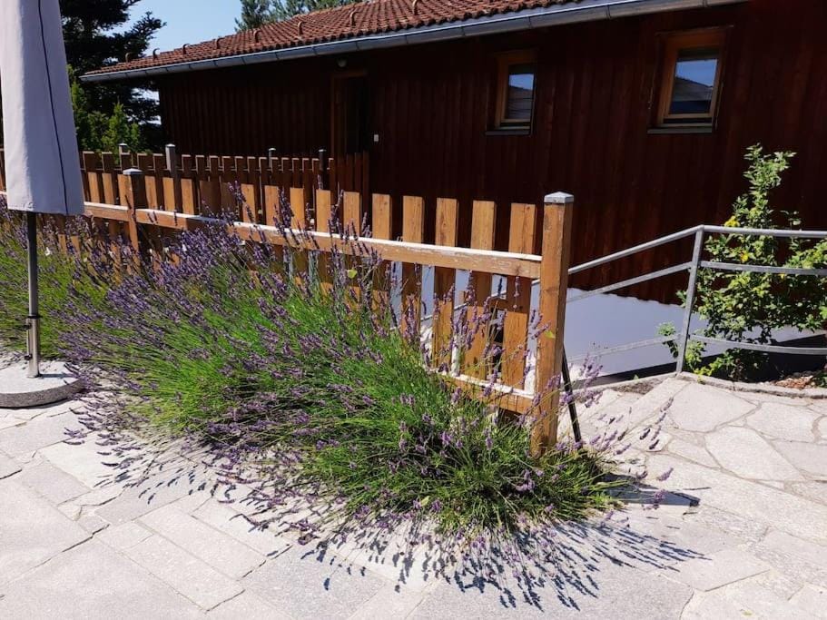 Property building, Garden