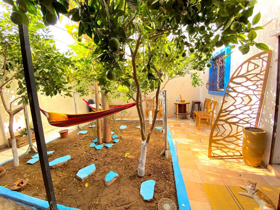 Garden, Garden, Garden view