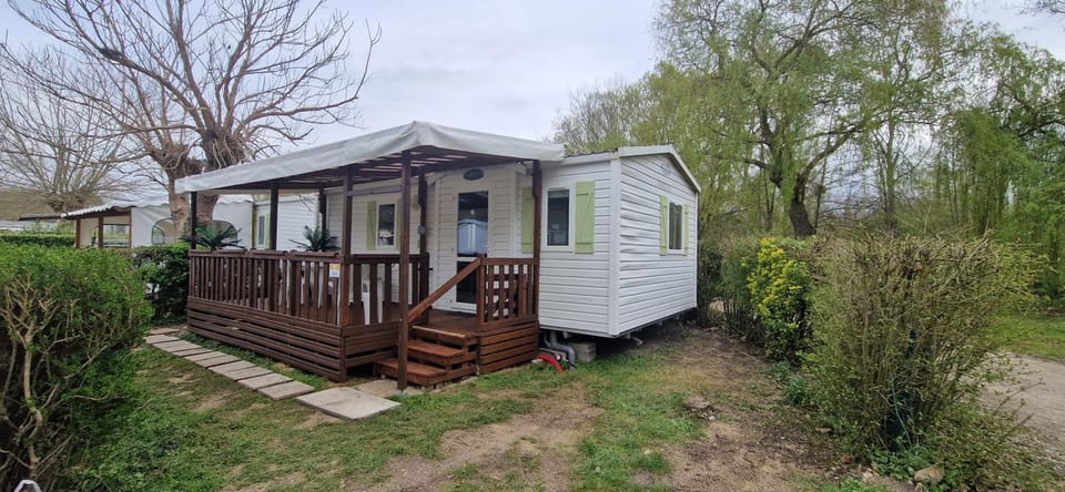 Property building, Garden, Garden view