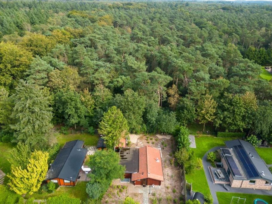 Spacious wooden cottage with infra-red sauna at Veluwe House in Putten