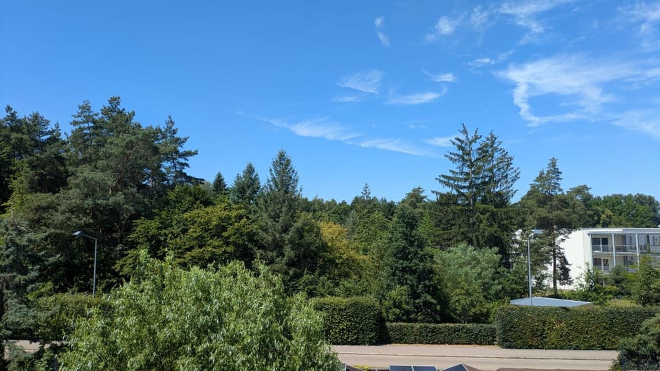 View (from property/room), Street view