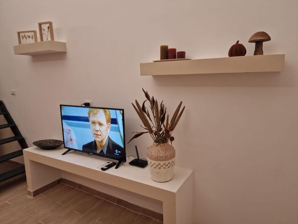 TV and multimedia