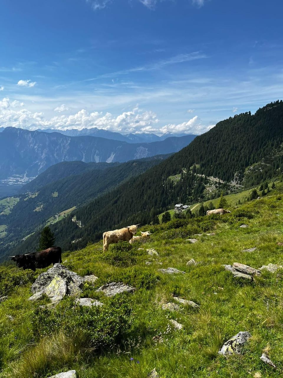 View (from property/room), Mountain view