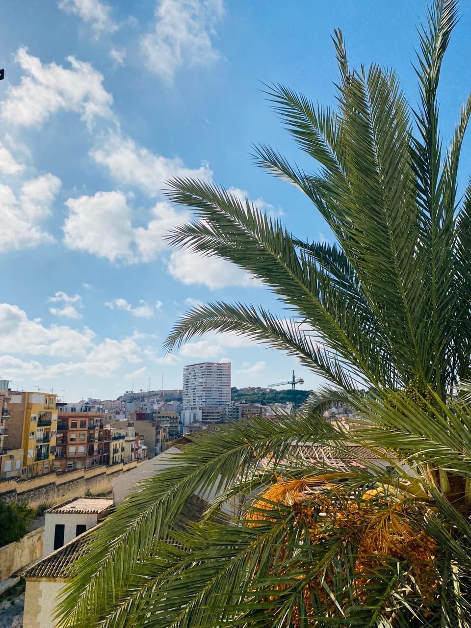 Day, City view