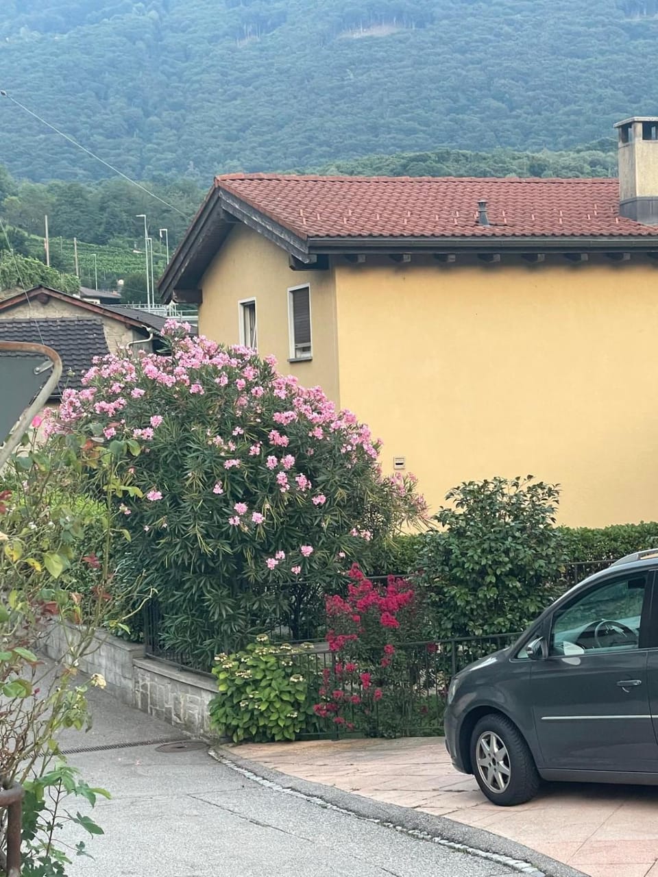 Le palme Bed and Breakfast in Lugano
