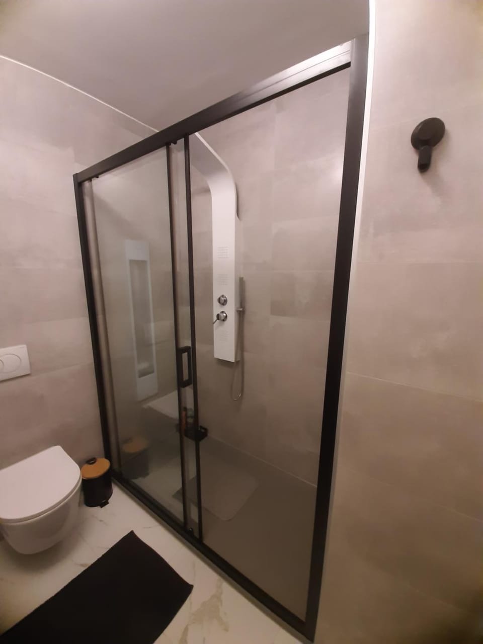 Shower, Toilet