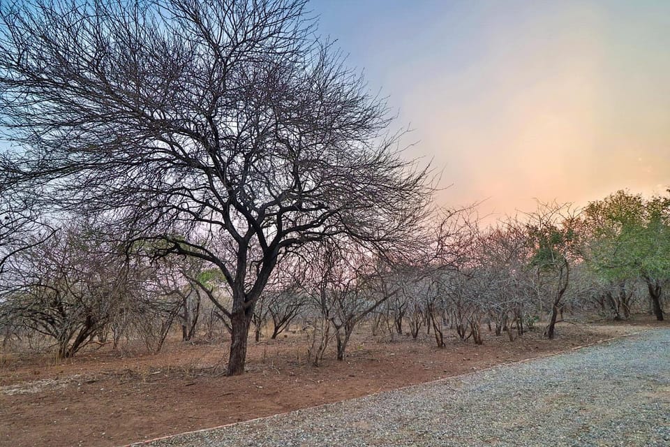 Natural landscape