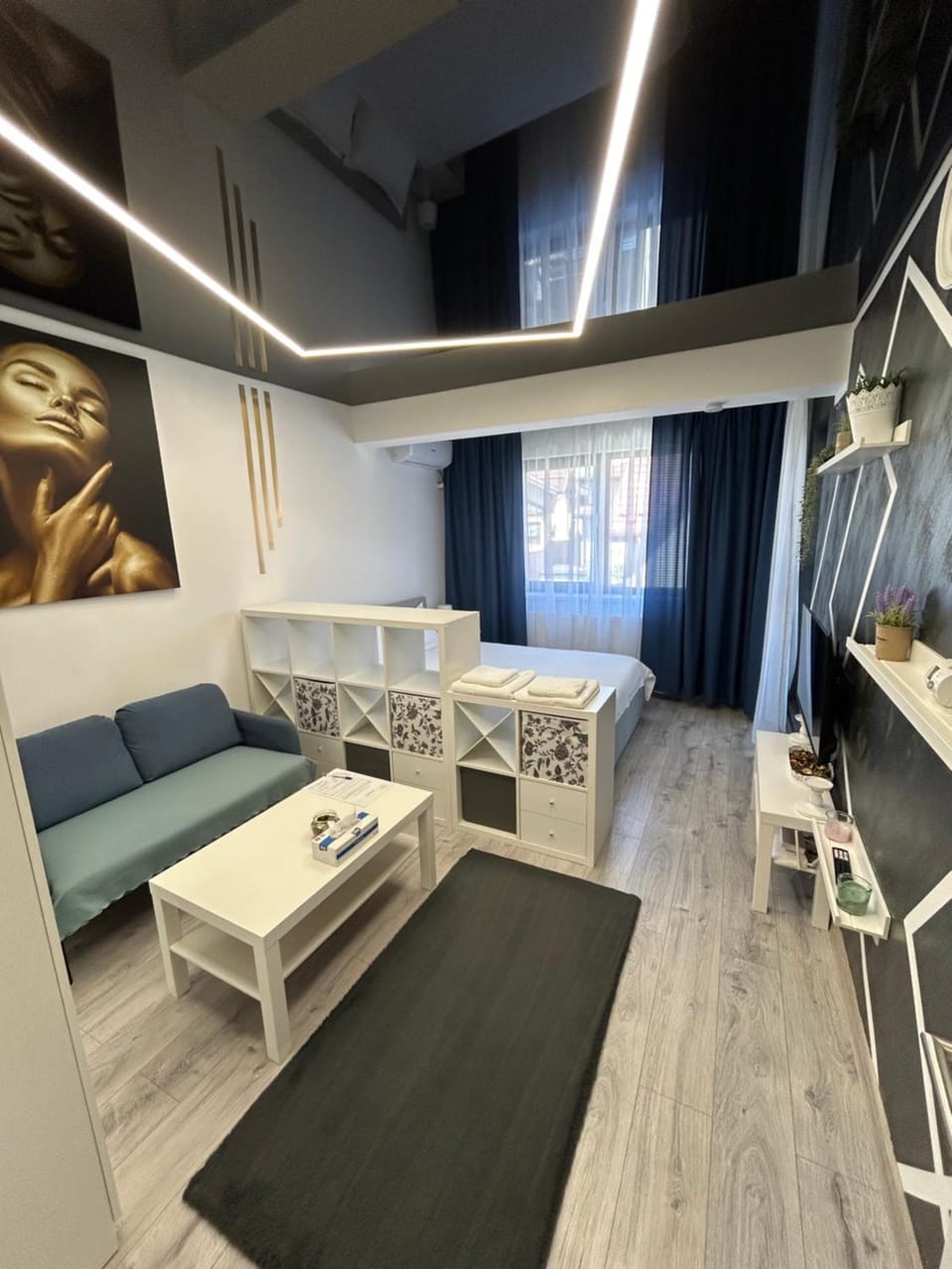 Photo of the whole room