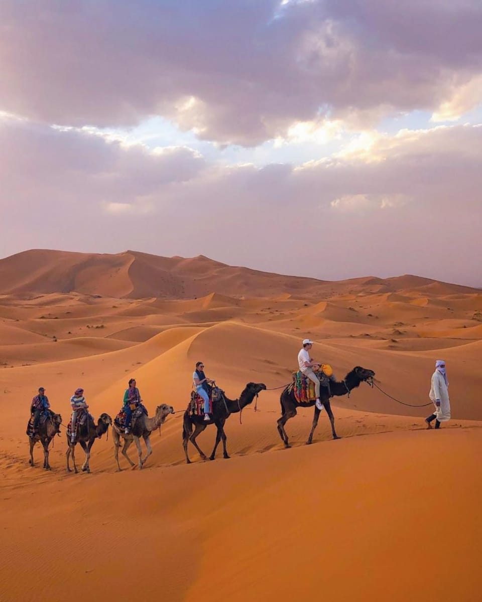 Day, People, Natural landscape, Horse-riding, Animals, group of guests