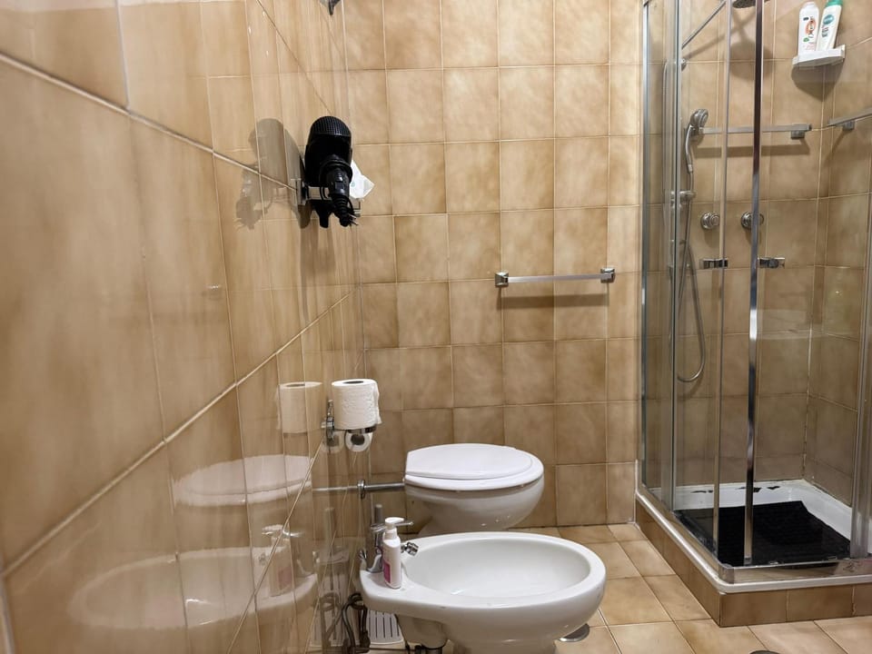 Shower, Toilet, Bathroom, bidet