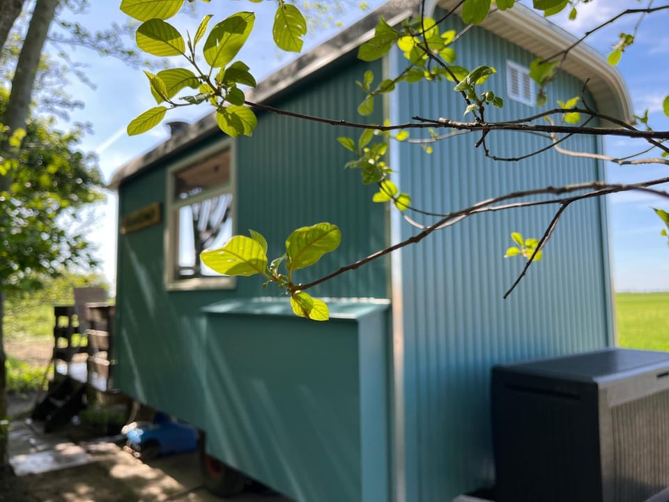 Pipowagen 'de Roerdomp' Chalet in Flevoland, Netherlands