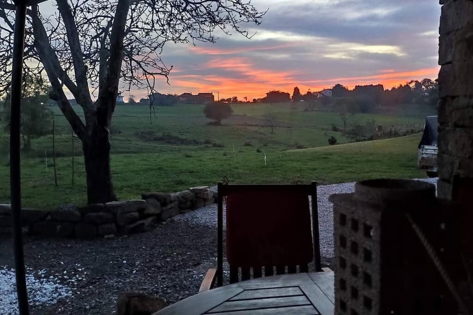 Garden, Garden view, Sunset