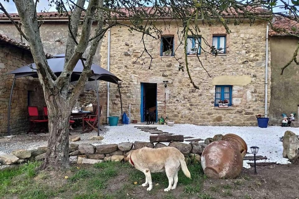 Animals