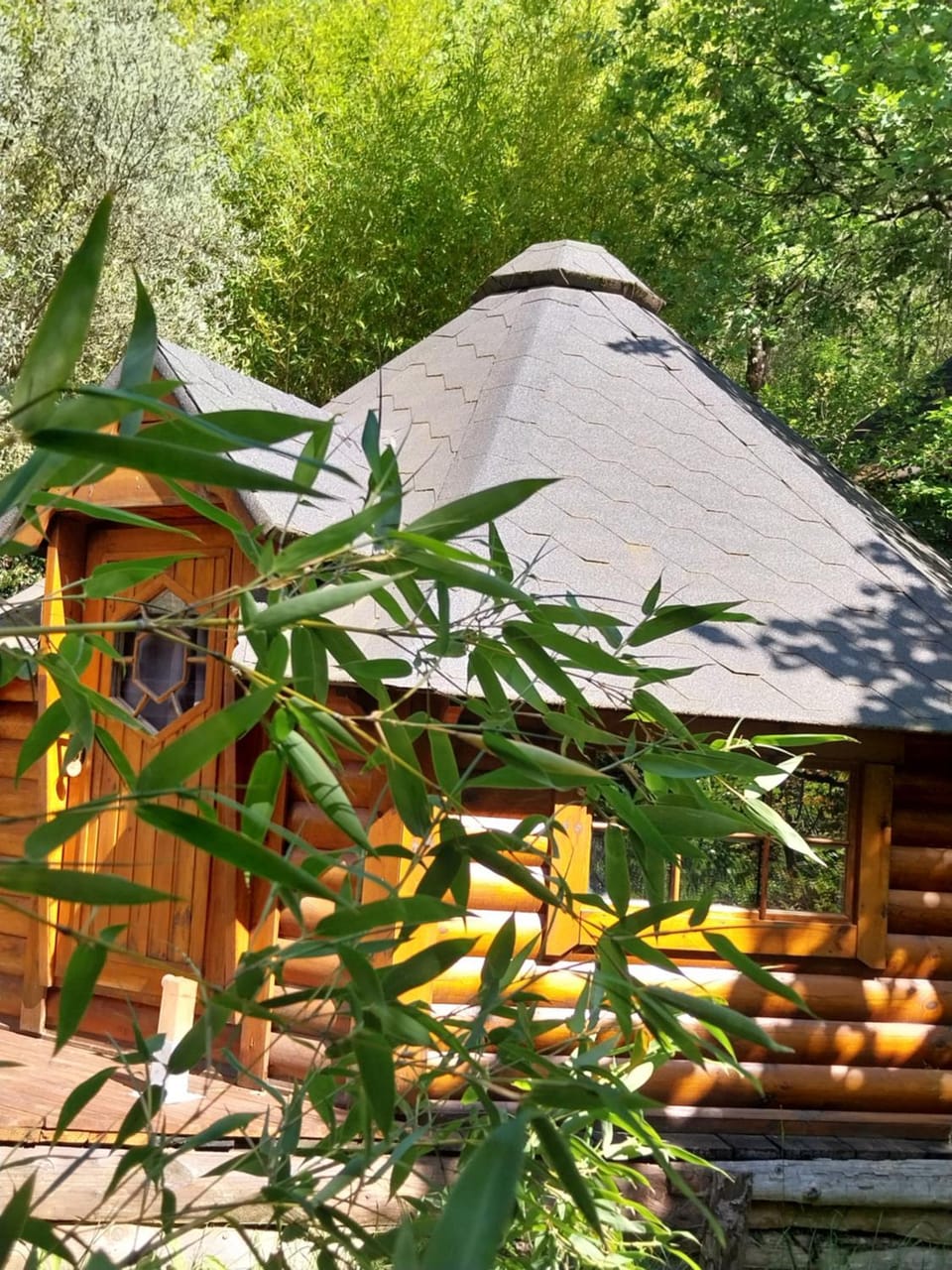 Natur'ânes Chalet in Occitanie