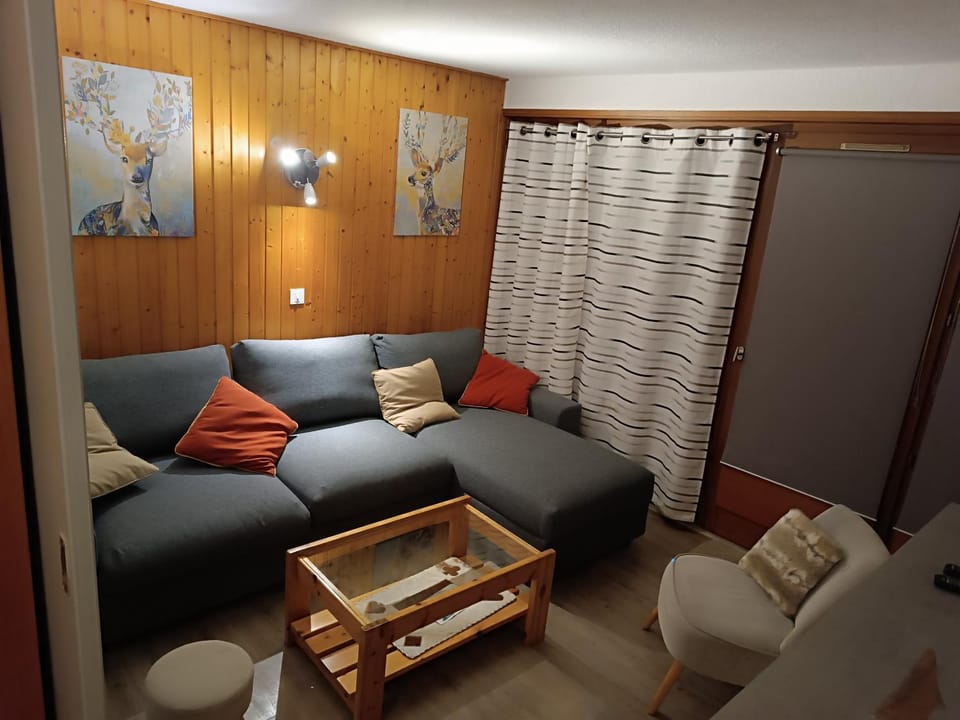 Morzine, Belle vue, Propre et au calme - proche activités- montagne Apartment in Les Gets