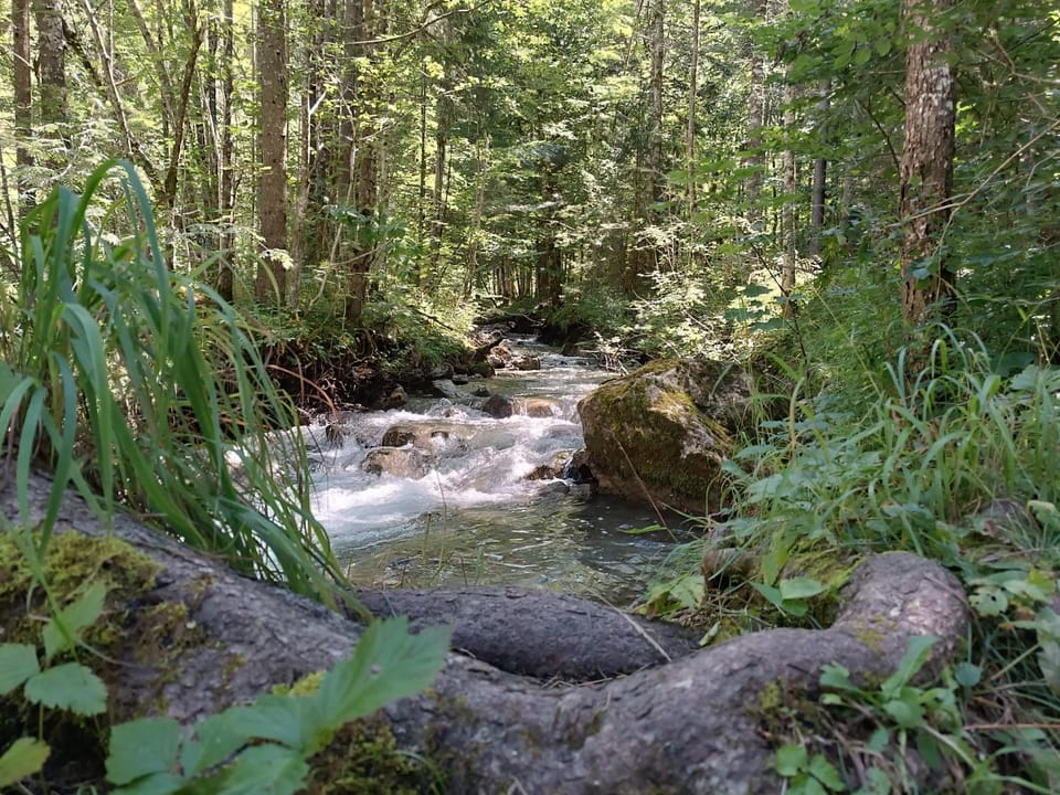 Spring, Natural landscape