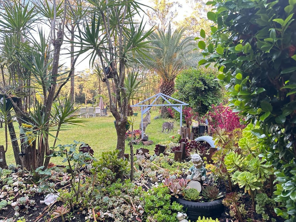 Day, Natural landscape, Garden view