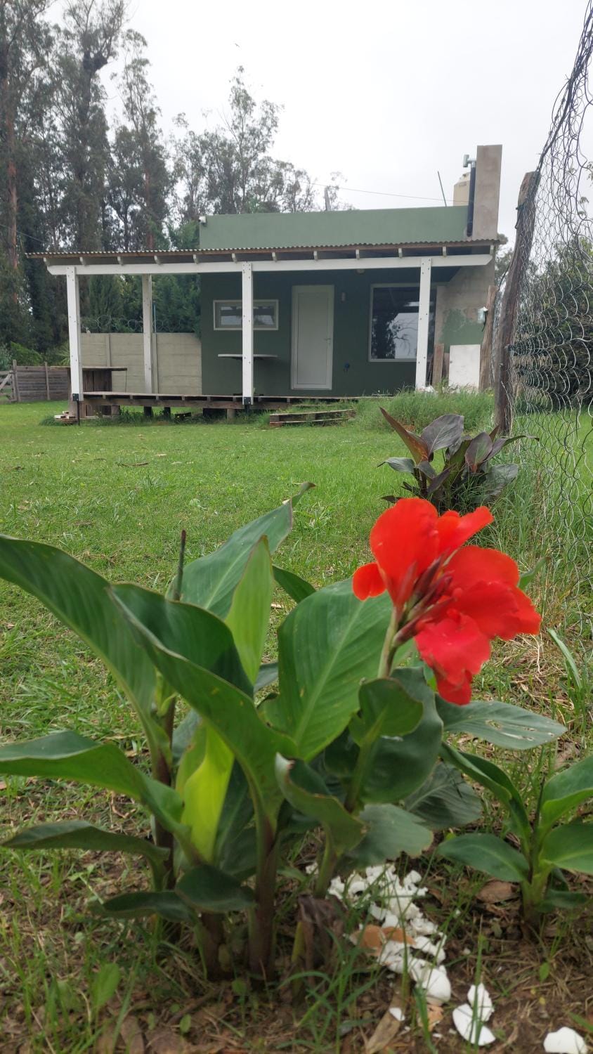 Villa Pietrastorta Apartment in Necochea