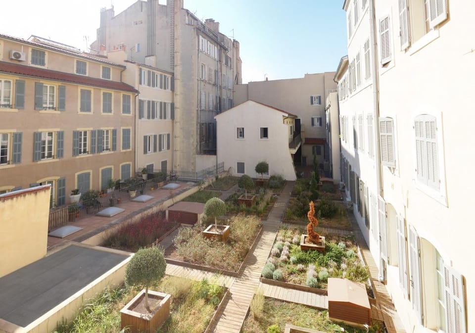Garden view