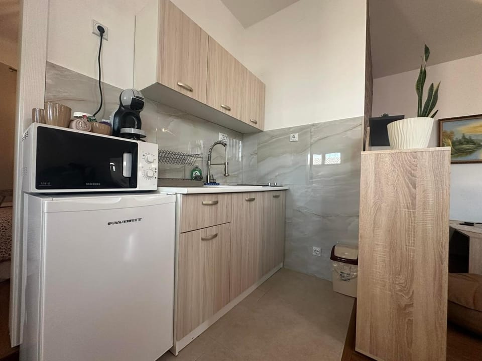 Kitchen or kitchenette, minibar, stove