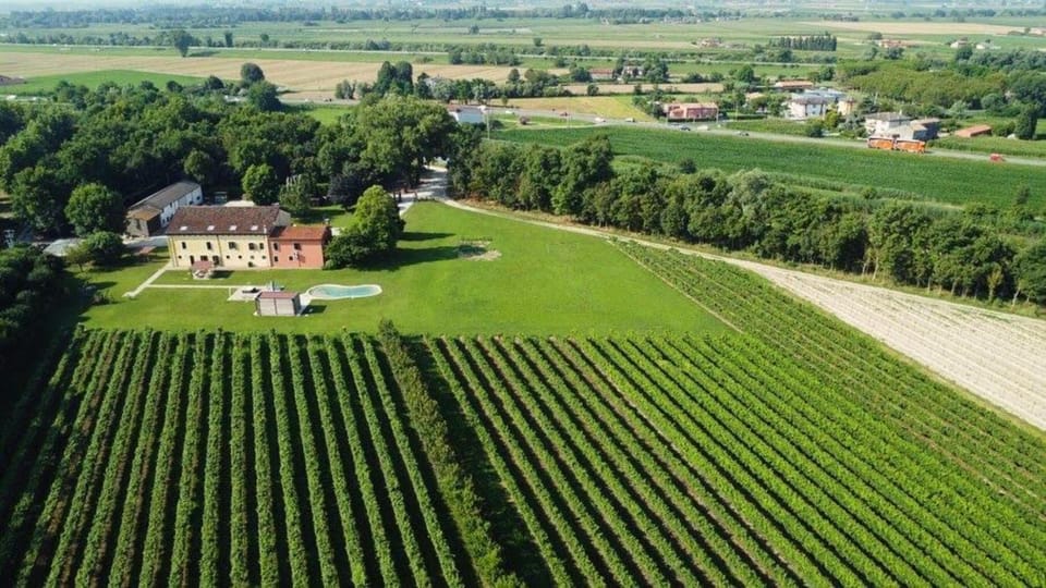 Natural landscape, Bird's eye view, Garden view