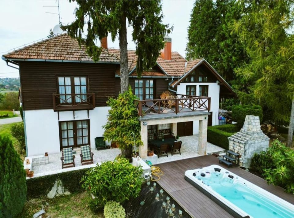 Villa Wolf Castle - vanjski grijani bazen 365 dana i pet friendly Villa in Slovenia
