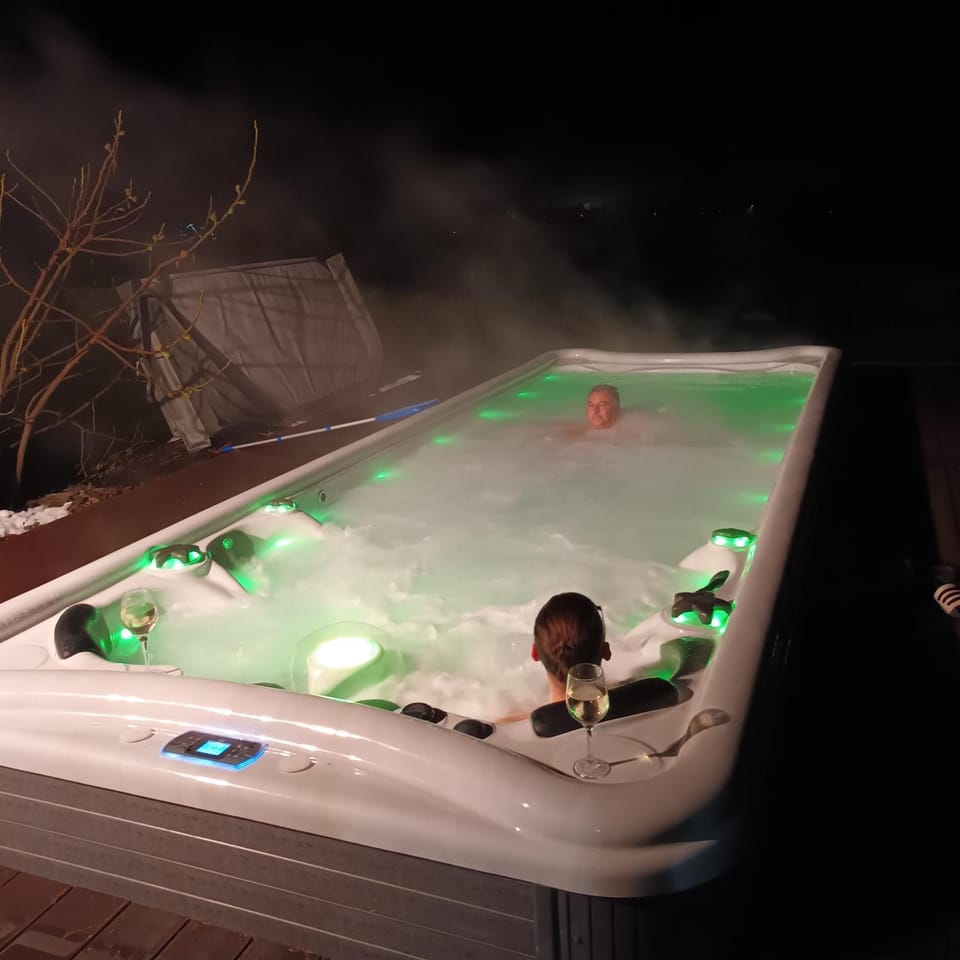 Villa Wolf Castle - vanjski grijani bazen 365 dana i pet friendly Villa in Slovenia