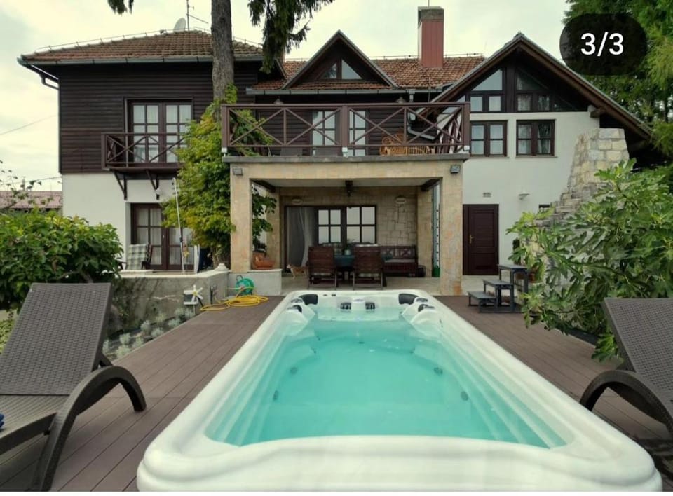 Villa Wolf Castle - vanjski grijani bazen 365 dana i pet friendly Villa in Slovenia