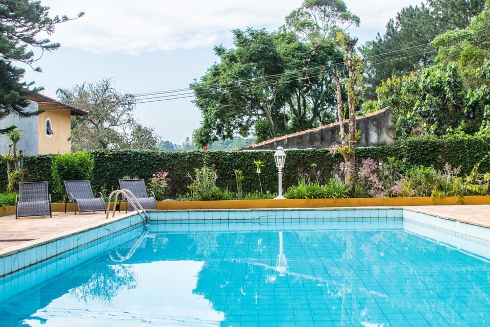 Garden, Garden view, Pool view, Swimming pool, Swimming pool, sunbed