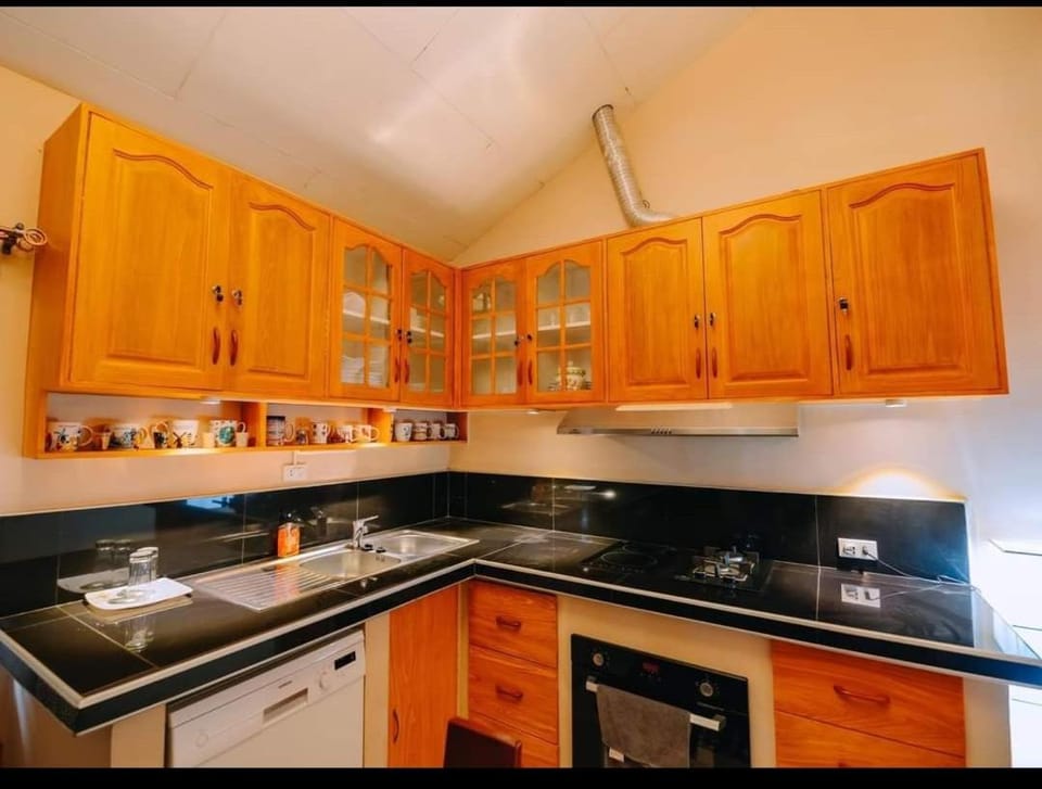 dishwasher, pet friendly, stove