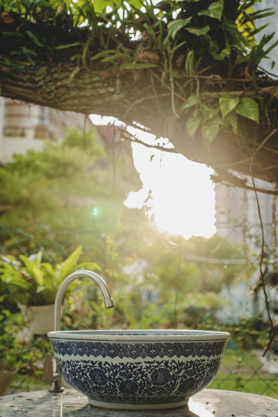 Garden view