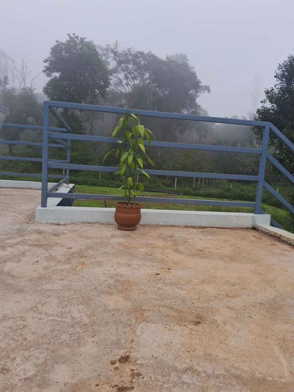Coorg Teakwood Treasure Homestay House in Madikeri