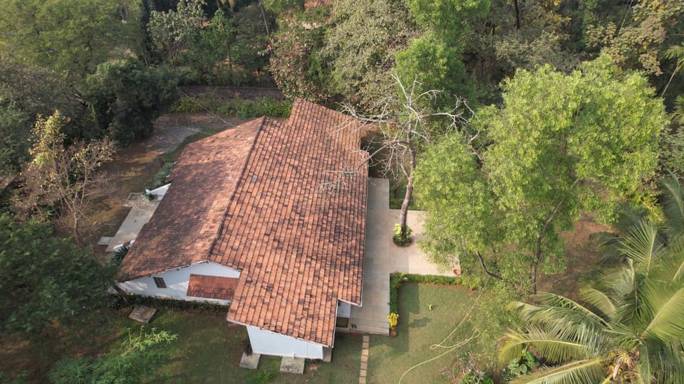 Property building, Day, Bird's eye view