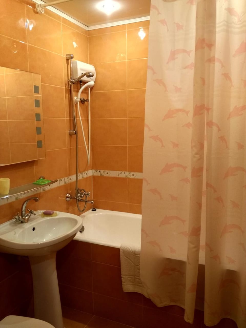 Shower, Bathroom, Photo of the whole room, Decorative detail
