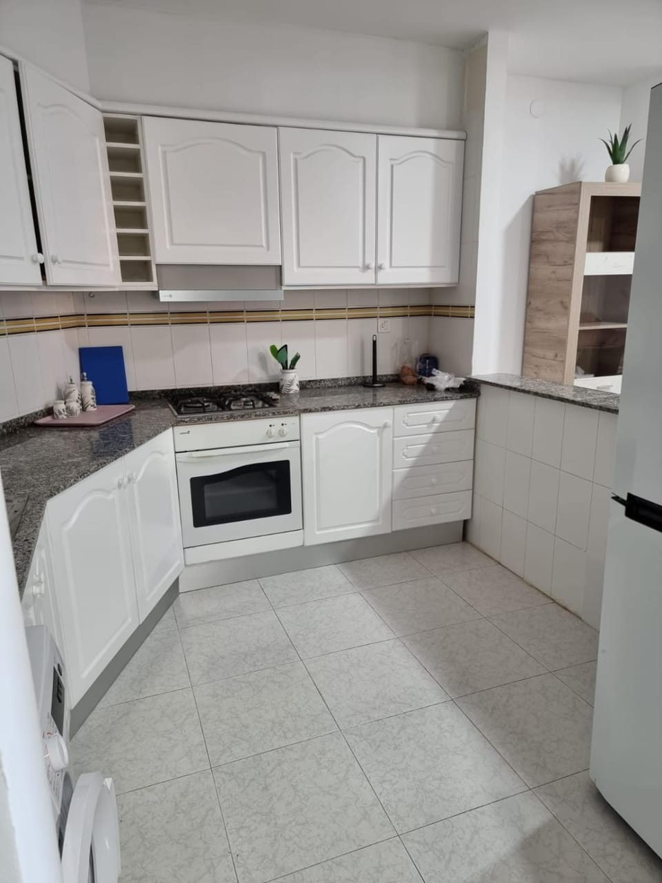 Kitchen or kitchenette, dishwasher, minibar, oven, pet friendly, stove