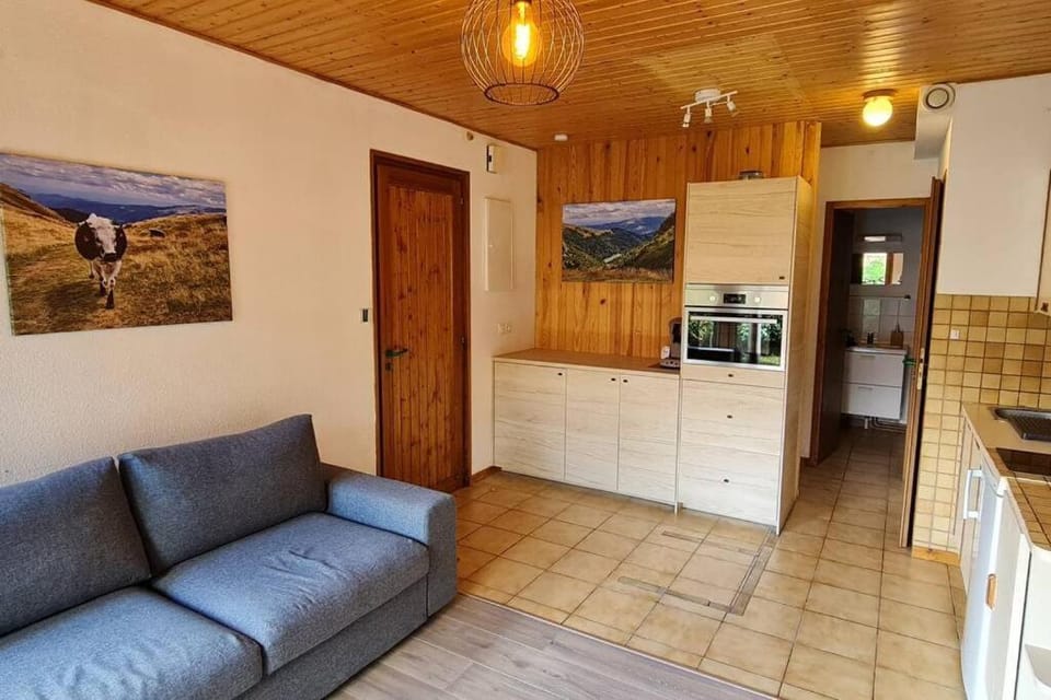 Gîte Le Bressaud Apartment in La Bresse